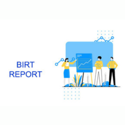 Birt-Report-Online-Training