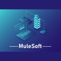 Mulesoft-Training