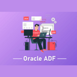 Oracle-ADF-Online-Training